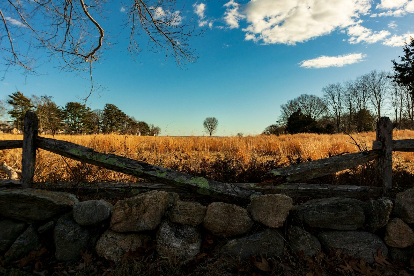 An old stone wall and split-rail fence in front of a golden Connecticut field